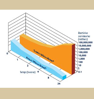 Carrelage antibactérien microban - graphe de survie des bactéries