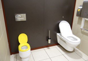 Mini Toilettes WC pour Enfant avec Son de Chasse d'Eau